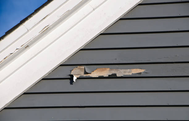 Best Attic Cleanout  in Perry, IA